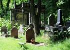 13 Jüdischer Friedhof Lodz